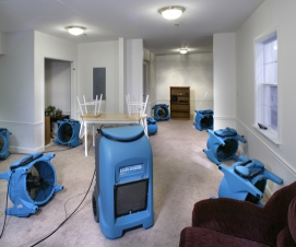 water damage carpet cleaner, Montreal water damaged cleaning, water damaged carpet cleaning, NNNN chemdry, quality deep water damaged cleaning of carpet, water damaged upholstery cleaning, water damaged area rug cleaning, water damaged leather restoration, water damaged rug steam cleaners